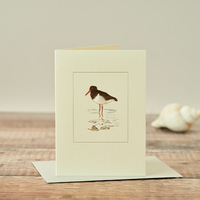 Oyster Catcher card