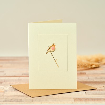 Whinchat on a branch card