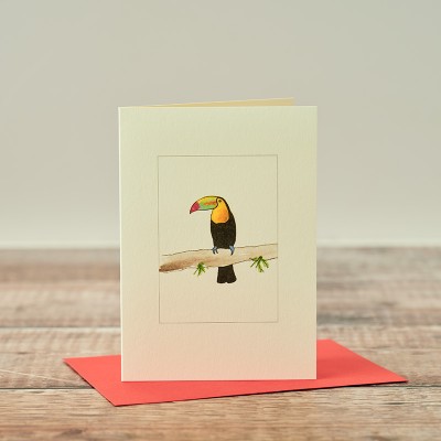Toucan card