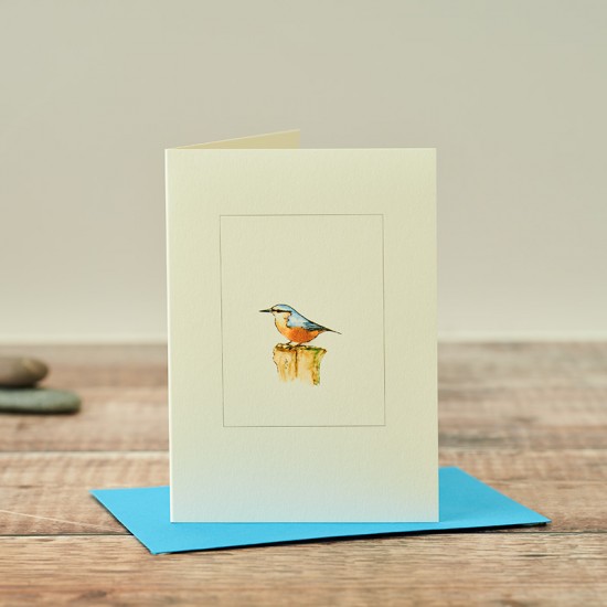 Nuthatch bird Greetings card