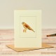 Kestrel Card Kestrel Card