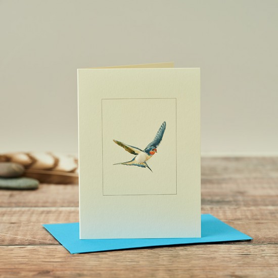 Swallow Card Swallow Card