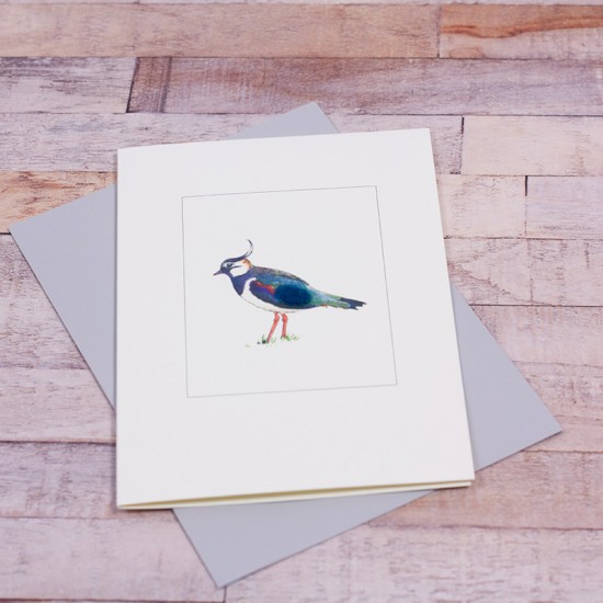 Lapwing card Lapwing card