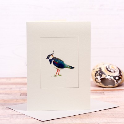Lapwing card