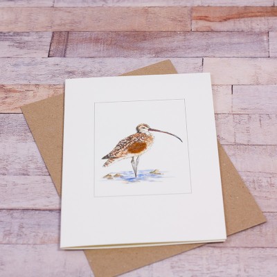 Curlew card