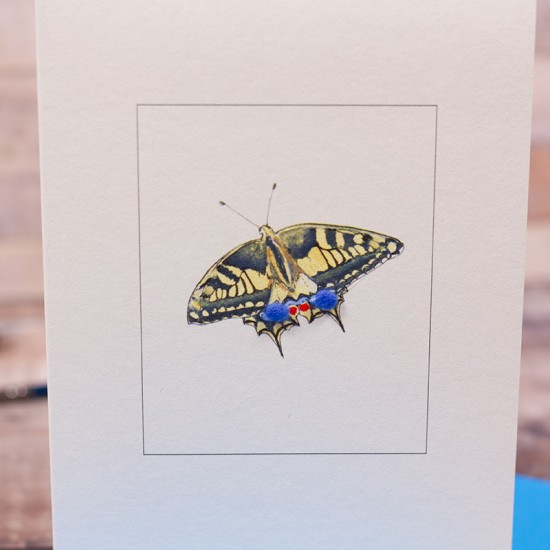 Swallowtail Butterfly card