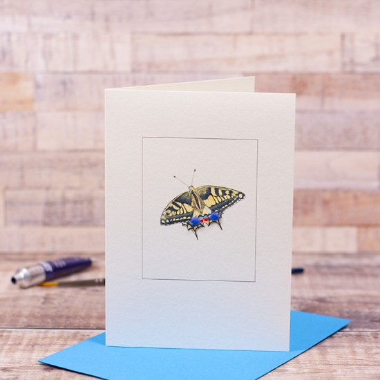 Swallowtail Butterfly card