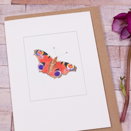 Peacock butterfly card