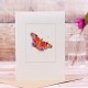 Peacock butterfly card