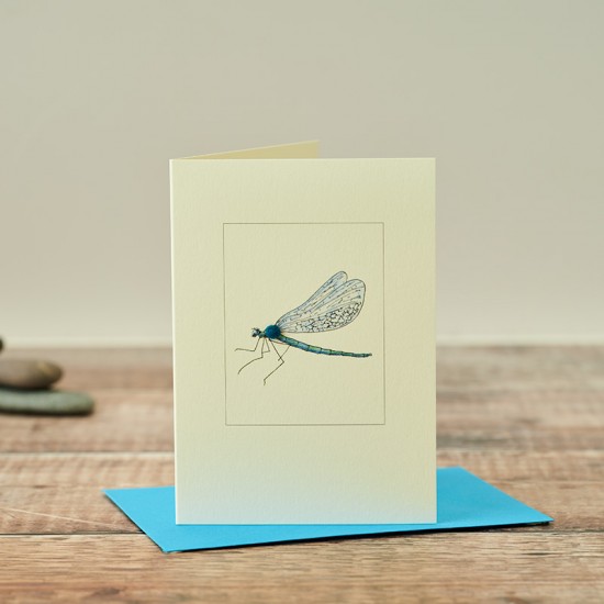 Blue Dragonfly card