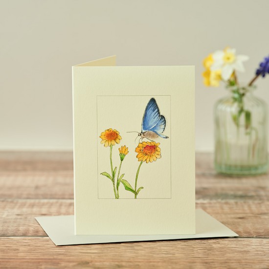 Blue butterfly card