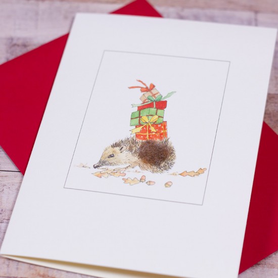 Hedgehog and presents Christmas card