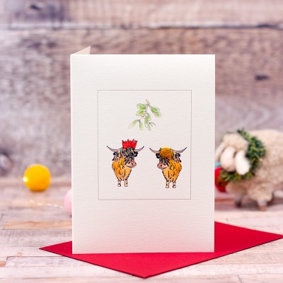 Highland cows under Mistletoe