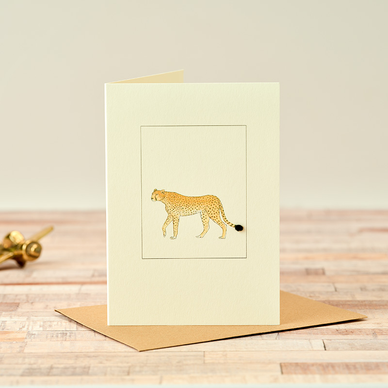 Cards - Papersheep (Trade Only)