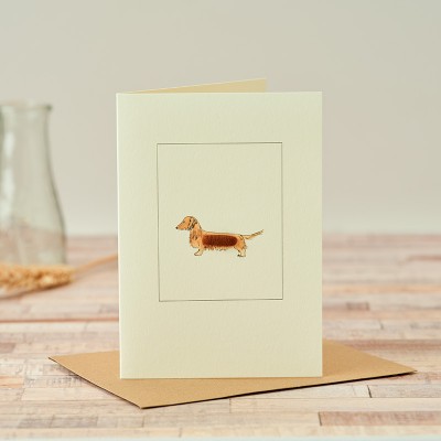 Dachshund red card