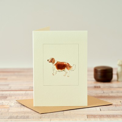 Spaniel greetings card