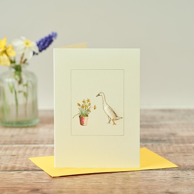 Duck Indian runner and daffodils card