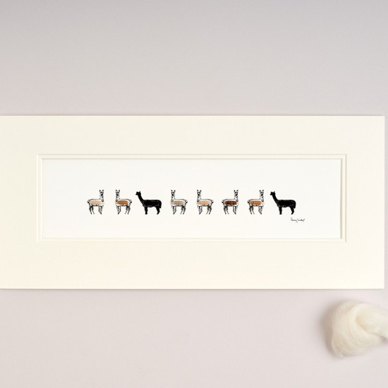 Long Row Of Alpacas print