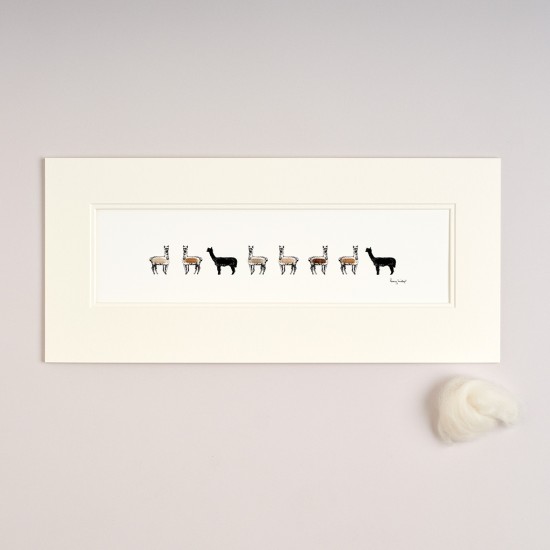 Long Row Of Alpacas print