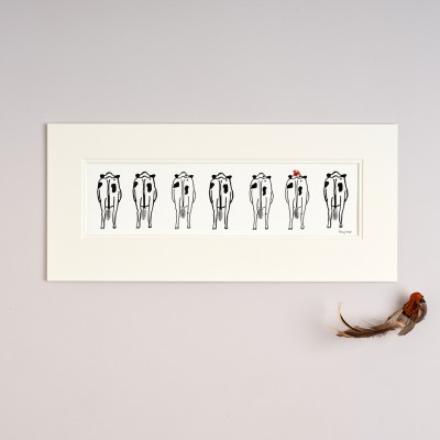 Long row of Friesian Cows with robin Long row of Friesian Cows with robin