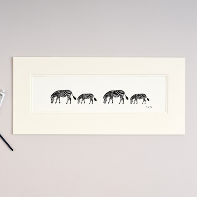 Long row of  Zebras Long row of  Zebras