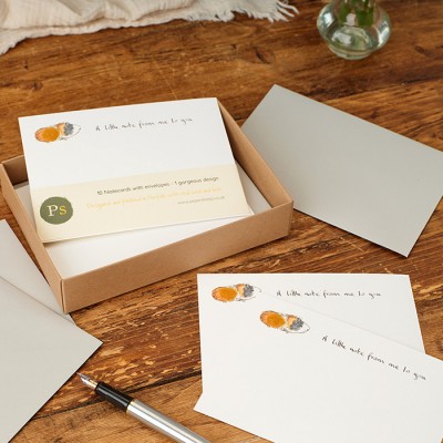 Notecards Guinea Pig