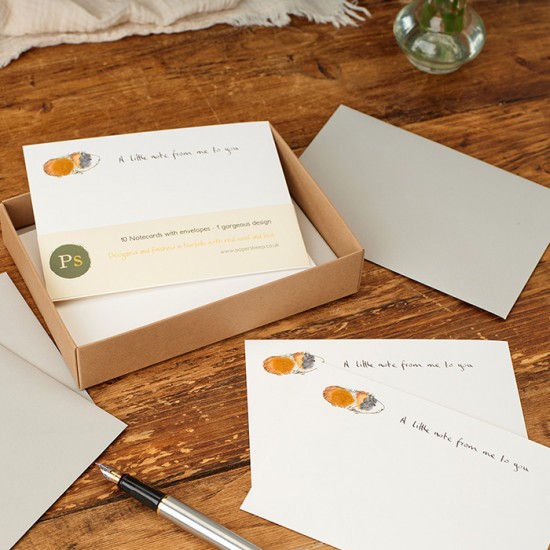 Notecards Guinea Pig