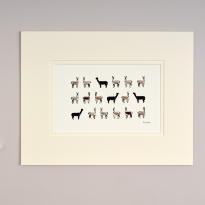 Limited Edition Of Alpacas print Limited Edition Of Alpacas print