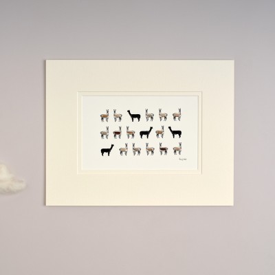 Limited Edition Of Alpacas print Limited Edition Of Alpacas print