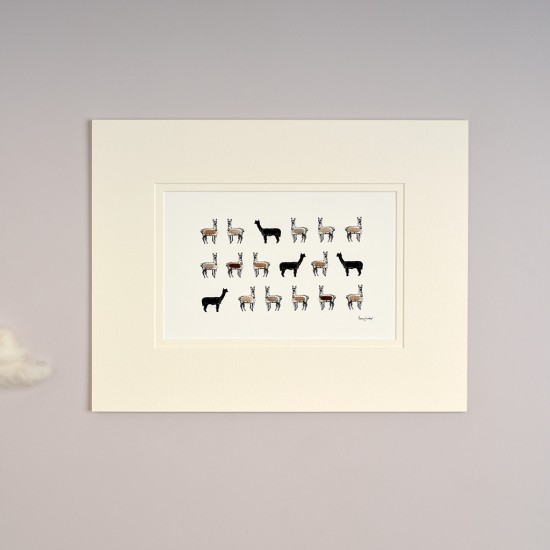 Limited Edition Of Alpacas print