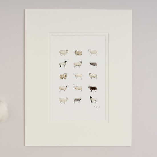 Limited Edition Print of Rare Sheep print