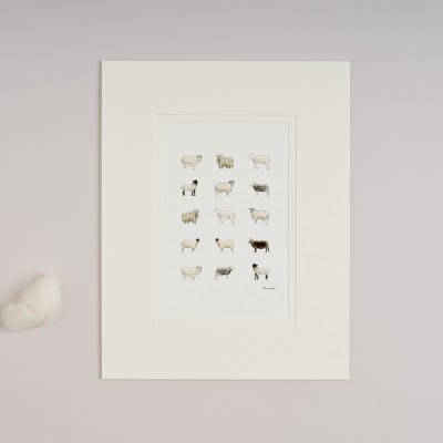 Limited Edition Print of Rare Sheep print Limited Edition Print of Rare Sheep print