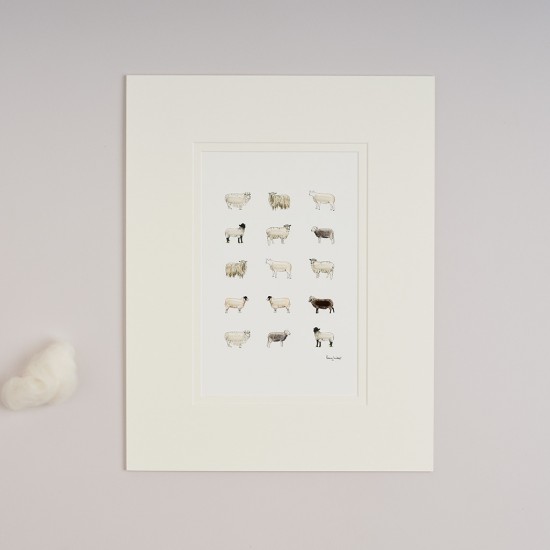 Limited Edition Print of Rare Sheep print