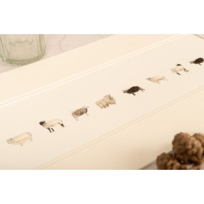 Long row of rare breed Sheep