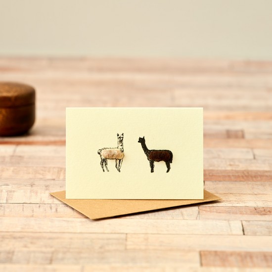 Mini Alpacas card