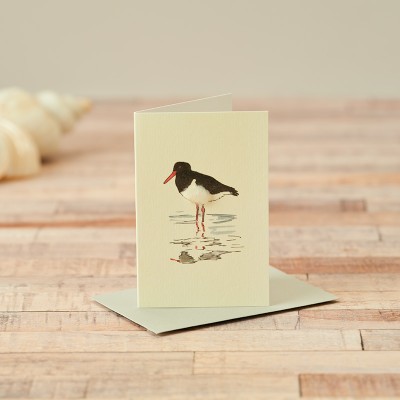 Mini Bird Oyster catcher card