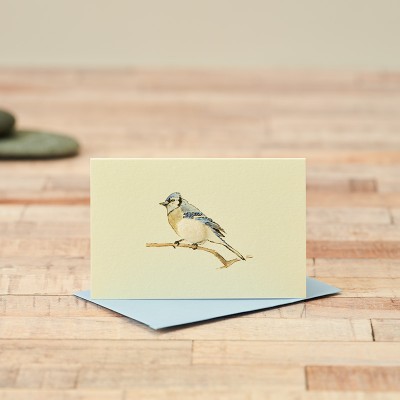 Mini Bird Bluejay card