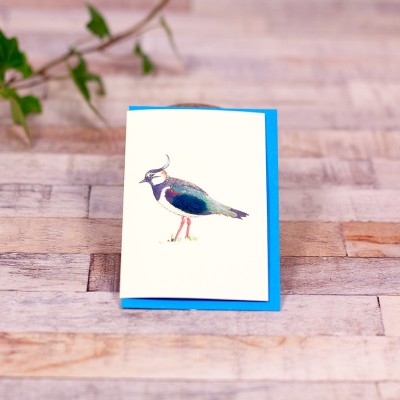 Mini Lapwing card