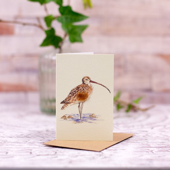  Mini Curlew card