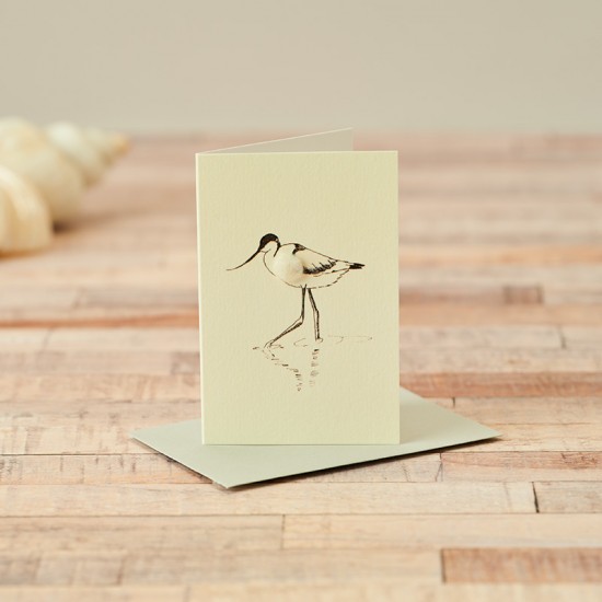 Mini Bird Avocet card