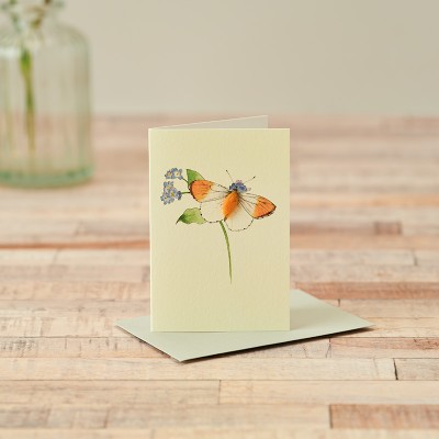 Mini Orange-tipped Butterfly card Mini Orange-tipped Butterfly card