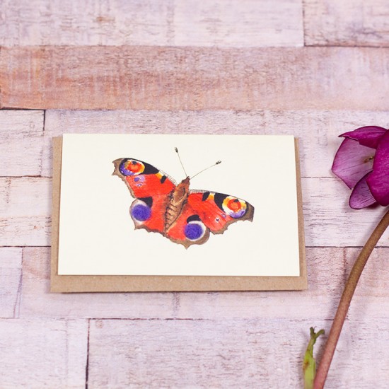 Mini Peacock Butterfly card