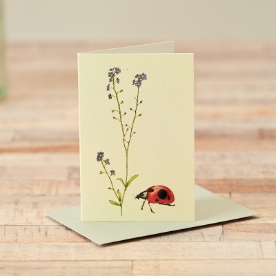 Mini Ladybird and forget me nots card