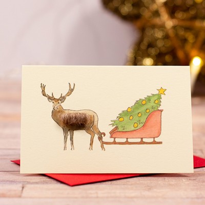 Mini Deer & Sleigh Christmas gift card