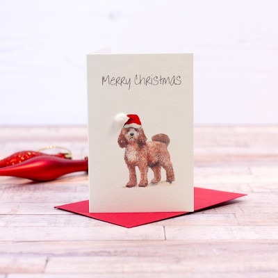 Mini Cockapoo Christmas card Mini Cockapoo Christmas card
