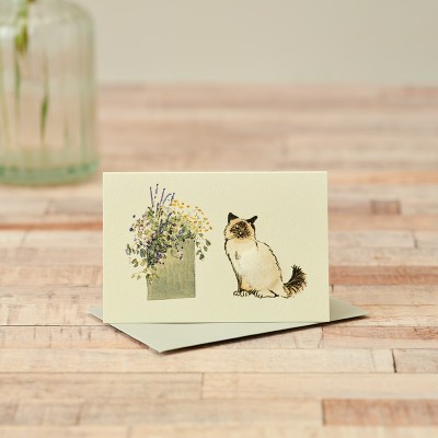 Mini Birman cat card next to large pot of flowers Mini Birman cat card next to large pot of flowers