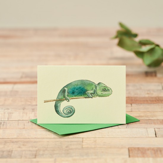 Mini Chameleon card Mini Chameleon card