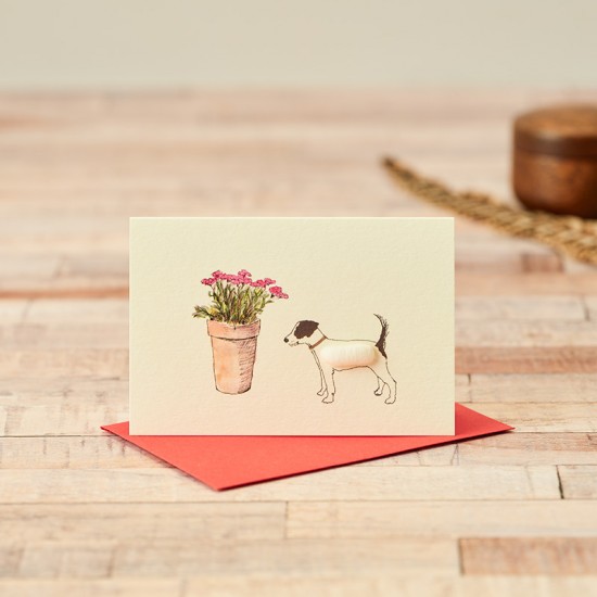 Mini Jack Russell and a pot of flowers card