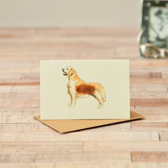 Mini Retriever card