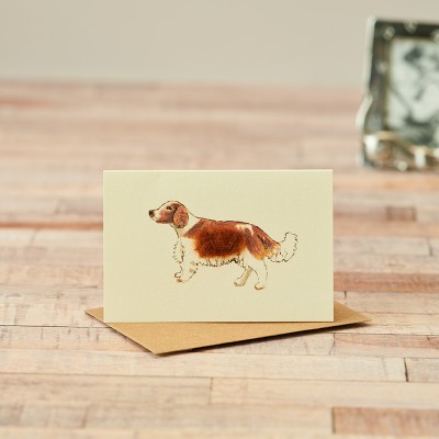 Mini Spaniel card